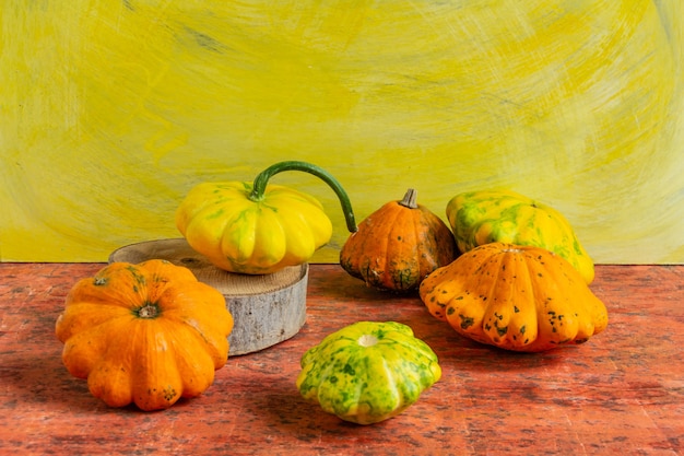 Veelkleurige pompoen op gele en oranje achtergrond herfst compositie
