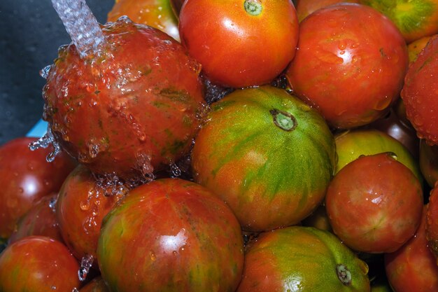 Veelkleurige tomaten worden gewassen in een stroom van schoon water close-up macrofotografie