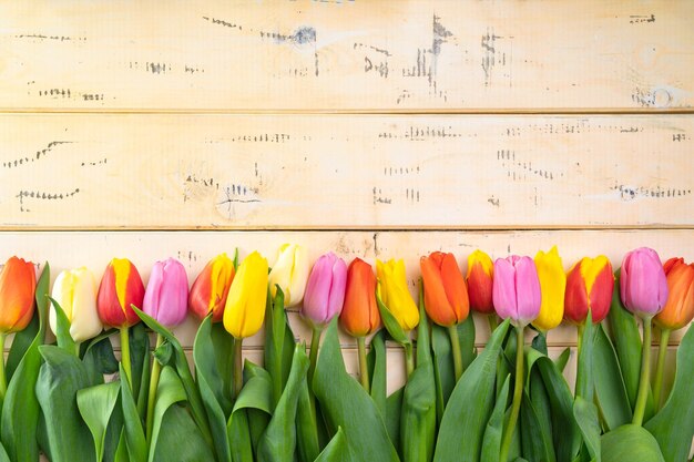 Veelkleurige tulpen op een beige houten ondergrond liggen op een rij