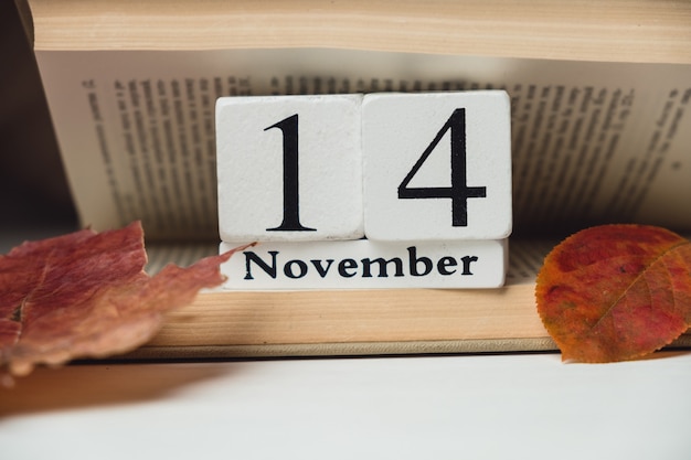 Veertiende dag van de herfstmaandkalender november