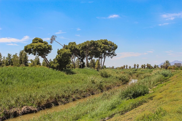 Vega Baja del Segura Almoradi Paisajes junto al rio en el corazon de la Vega Baja