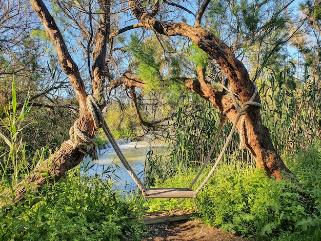 Vega baja del segura - columpio junto al rio segura e guardamar del segura