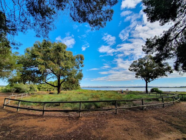 Vega Baja del Segura  El lago azul del Parque Natural de las Lagunas de La Mata y Torrevieja