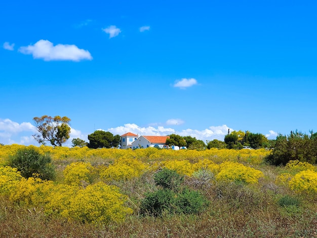 Vega Baja del Segura El lago azul del Parque Natural de las Lagunas de La Mata y Torrevieja