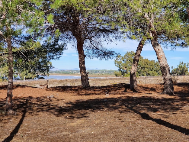 Vega Baja del Segura El lago azul del Parque Natural de las Lagunas de La Mata y Torrevieja