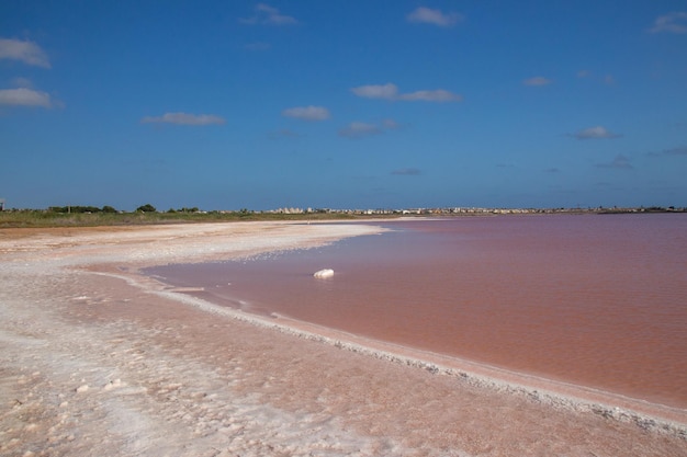 Photo vega baja del segura el lago salado de torrevieja el paraje natural de las salinas