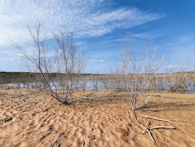 Vega Baja del Segura Embalse o pantano de la Pedrera un lago azul turquesa