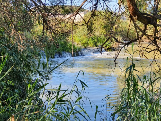 Vega Baja del Segura Guardamar del Segura Molino Harinero de San Antonio Azud Puente de Hierro