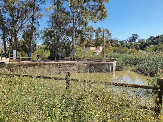 Vega Baja del Segura Guardamar del Segura Molino Harinero de San Antonio Azud Puente de Hierro