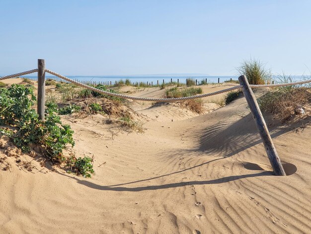 Photo vega baja del segura guardamar del segura paisaje de dunas junto al mar