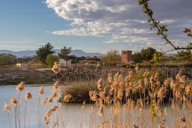 Vega Baja del Segura Guardamar desembocadura