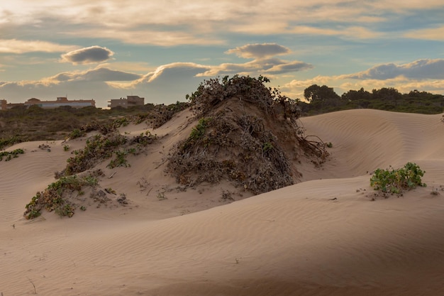 Vega Baja del Segura Guardamar Paisaje de las dunas de Guardamar del Segura