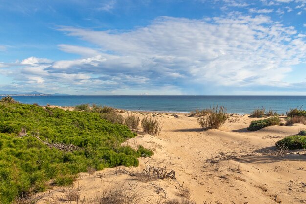 Vega baja del segura guardamar paesaggio delle dune di guardamar del segura