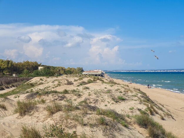 Vega Baja del Segura Guardamar Playas и доступ к пляжу