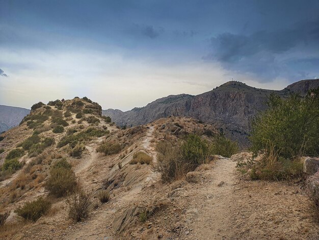 Vega Baja del Segura  Orihuela  Castillo y sierra