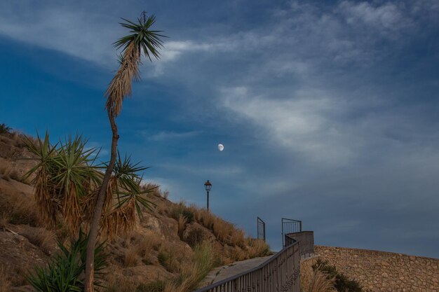 Vega Baja del Segura - Orihuela Ciudad - Subida al Seminario por escalera con luna