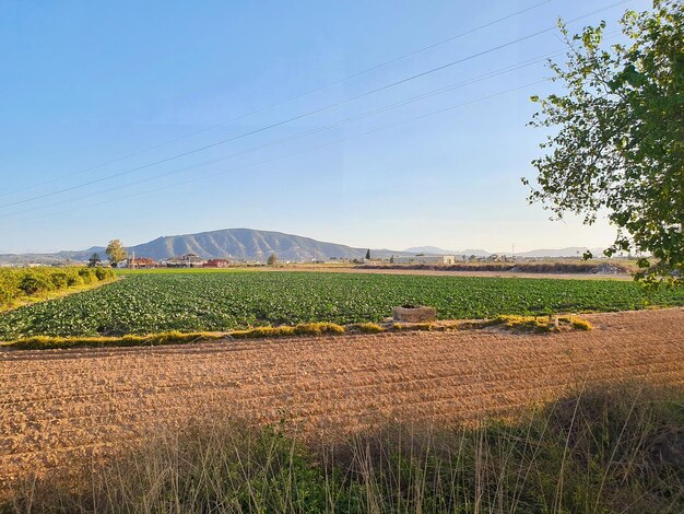 Photo vega baja del segura  orihuela  paisajes de la sierra la huerta y sus detalles