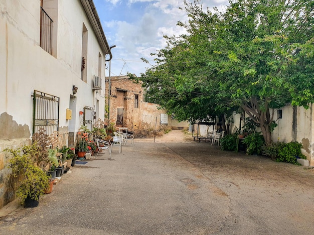 Foto vega baja del segura orihuela paisajes de la sierra la huerta e sus detalles