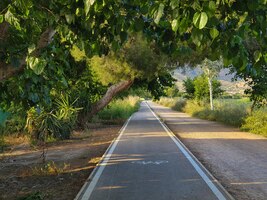 Vega baja del segura - orihuela - paisajes en la huerta de la vega baja