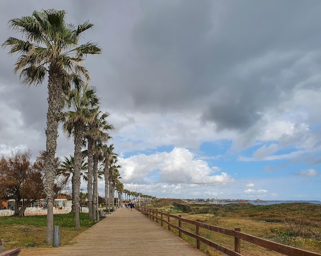 Vega Baja del Segura Pilar de la Horadada La Torre de la Horadada y su entorno