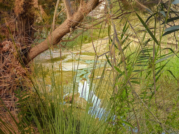 Vega Baja del Segura Pilar de la Horadada Rio Seco