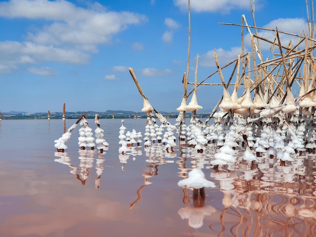 Vega Baja del Segura - Salinas de Torrevieja - La Laguna Salada y su entorno, un paisaje nico