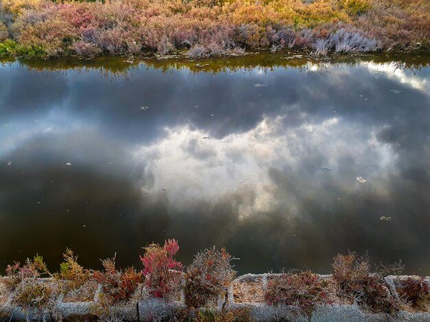 Vega baja del segura - salinas de torrevieja - la laguna salada y su entorno, un paisaje unico