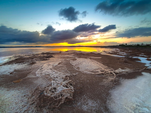 Photo vega baja del segura - salinas de torrevieja - la laguna salada y su entorno, un paisaje unico