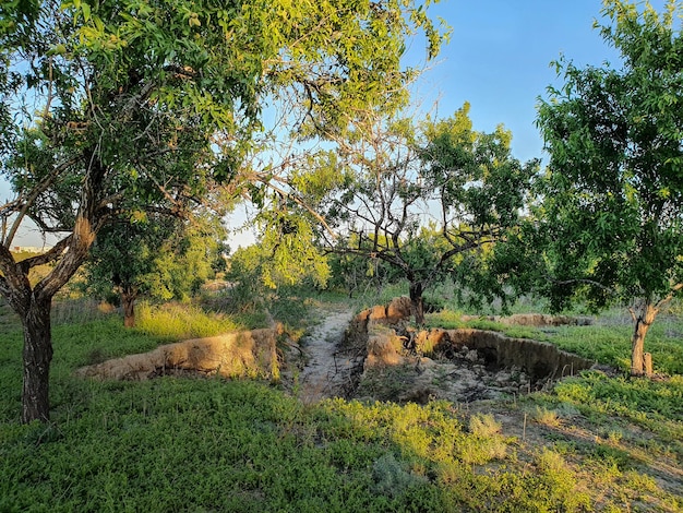 Vega Baja del Segura - San Miguel de Salinas - Vistas y lugares a Visitar