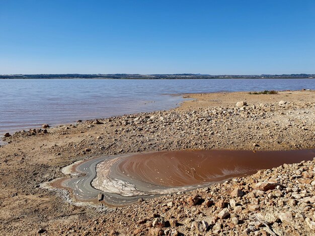 Photo vega baja del segura torrevieja arte natural a orillas de las salinas