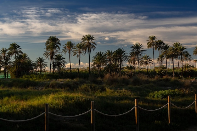 Vega Baja del Segura - Torrevieja - Cala Ferris o Paraje Natural Lo Ferris