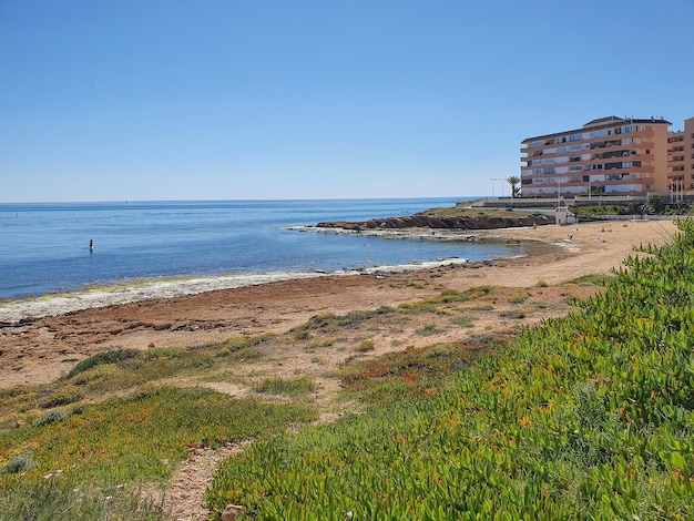 Photo vega baja del segura torrevieja calas en urbanizacion cabo cervera y su entorno