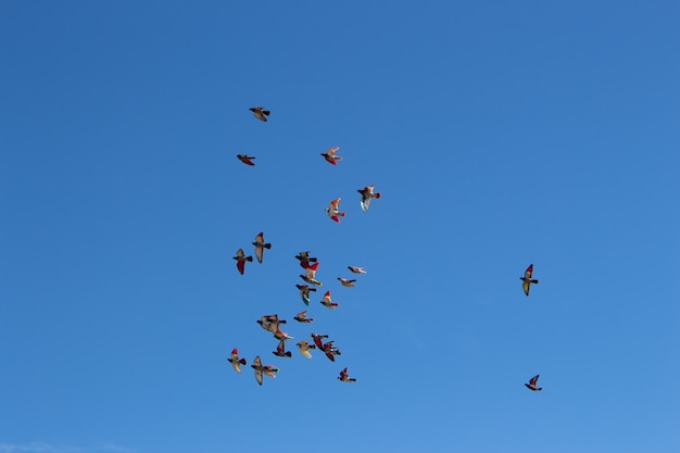 Vega baja del segura torrevieja cielos espectaculares y paisajes