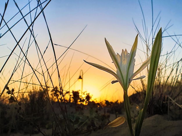 Vega Baja del Segura  Torrevieja  La Mata  Parque del Molino del Agua