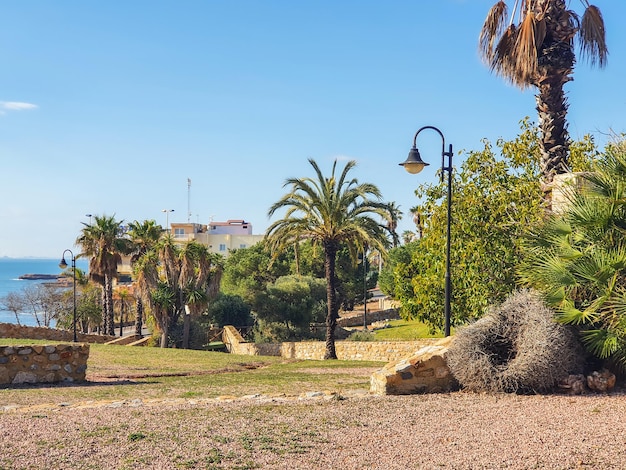 Vega Baja del Segura  Torrevieja  La Torre del Moro vistas y paisajes