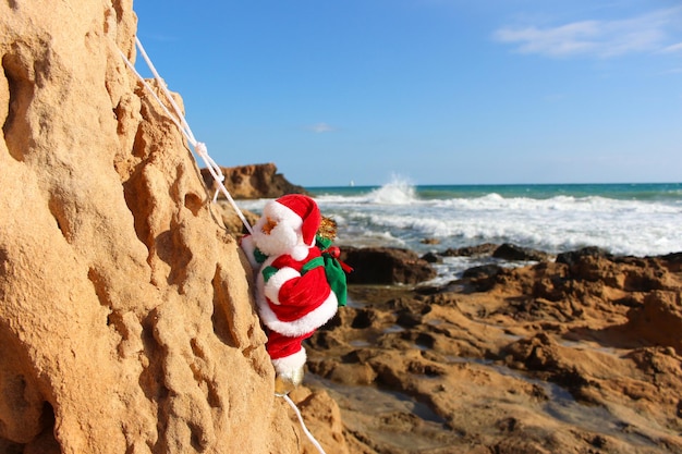 Vega Baja del Segura Torrevieja Motieven en decorado Navidad