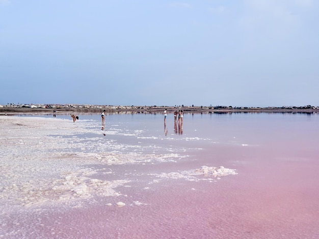 Vega baja del segura torrevieja paisajes y reflejos de siluetas en las salinas al atardecer