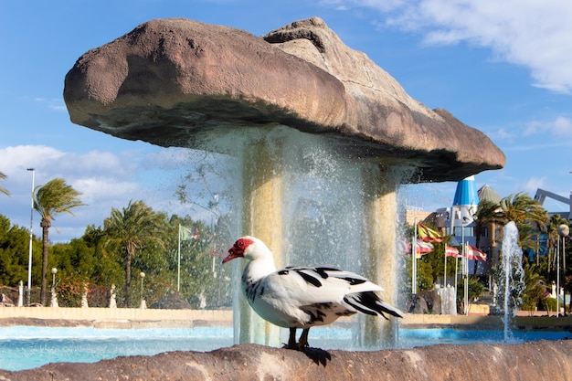 Vega Baja del Segura Torrevieja Parque de las Naciones