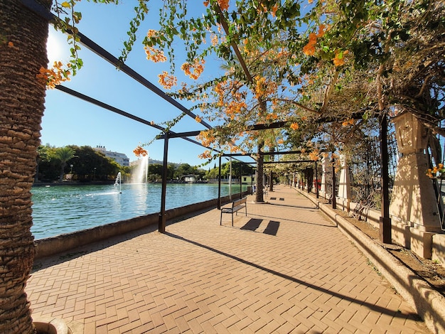 Photo vega baja del segura  torrevieja  parque de las naciones