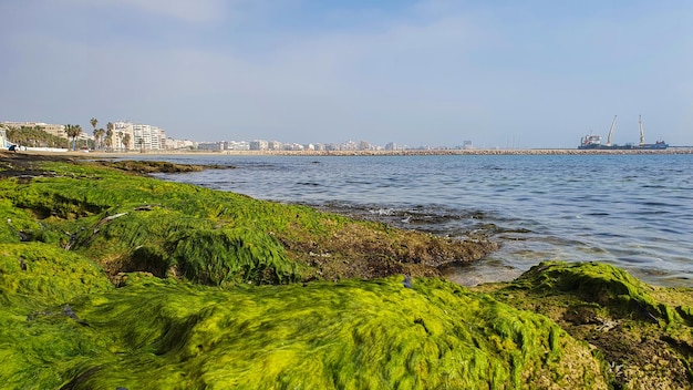 Vega Baja del Segura  Torrevieja  Playa del Acequion y Dique de Poniente o Muelle de la Sal