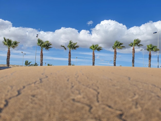 Vega baja del segura torrevieja playa del cura piscinas naturales y paseo juan aparicio