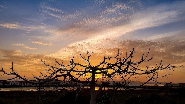 Vega Baja del Segura Torrevieja Salinas y laguna rosa y 살라다