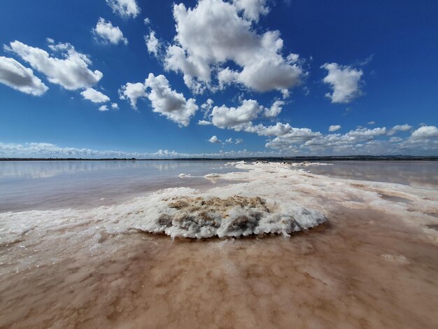 Photo vega baja del segura  torrevieja  salinas y laguna rosa y salada