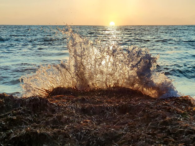 Vega baja del segura torrevieja un'oasi junto al mar e cala ferris