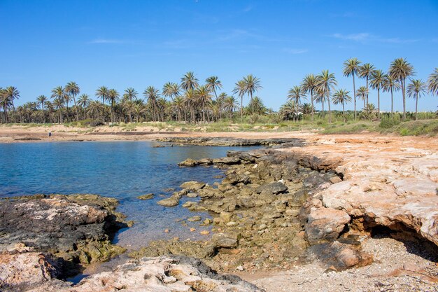 Vega Baja del Segura Torrevieja Un oasis junto al mar en Cala Ferris