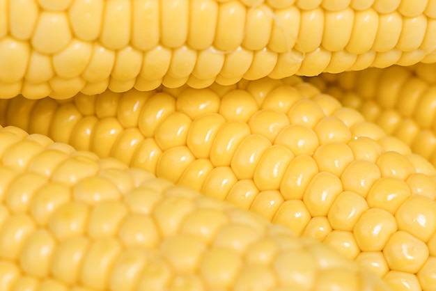 Vegetable background of corn cobs