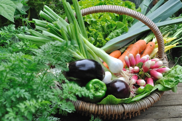 Photo vegetable basket