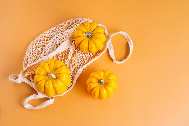 Vegetable fall food conceptautumn halloween pumpkinsdifferent varieties of pumpkins in mesh bag of f