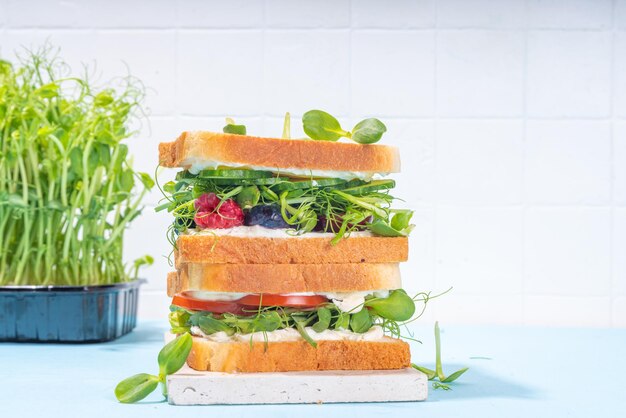 Овощные и фруктовые сэндвичи с микрозеленью Домашние тосты сэндвичи с томатами, огурцами, ягодами и множеством микрозеленых молодых листьев, ростков, белого стола, фона, копировального пространства