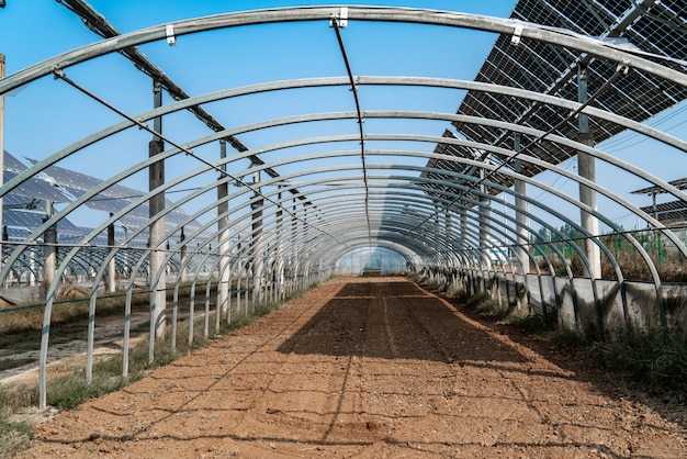 Foto serra di verdure nella base di produzione rurale